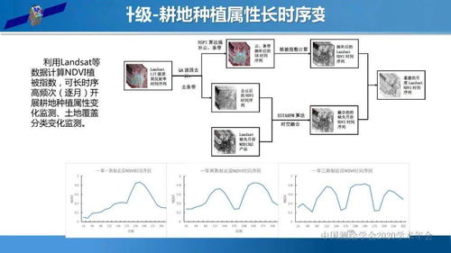 尤淑撑研究员 自然资源卫星遥感监测体系与应用思考